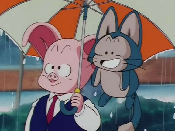 Image result for oolong vs Puar